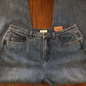 Coldwater Creek Brand Jeans Size P12